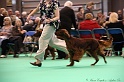 Crufts2011 906